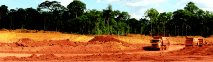 La Vida Después de la Minería: Restaurando la Selva Amazónica
