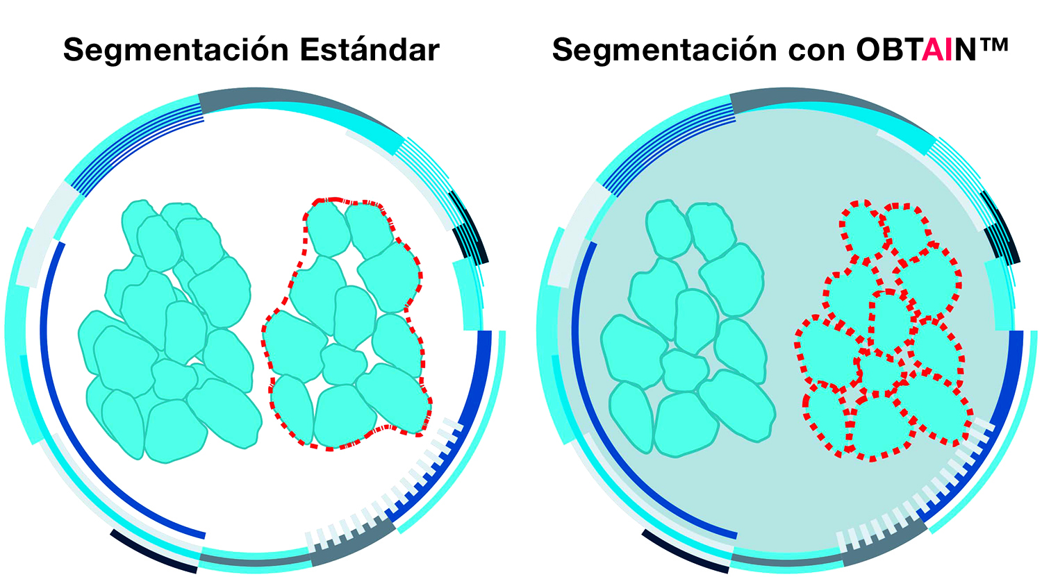3 Segmentation with OBTAIN HL-above-SP-min